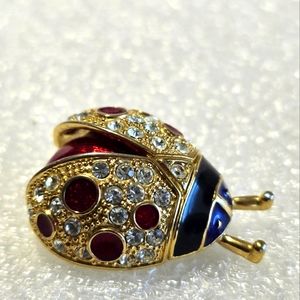 Lady bug brooch